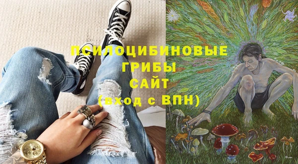 мдпв Горняк