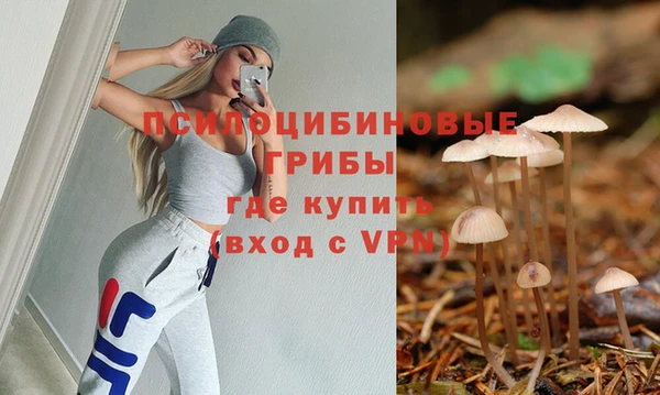 мдпв Горняк