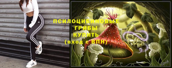 амфетамин Горнозаводск