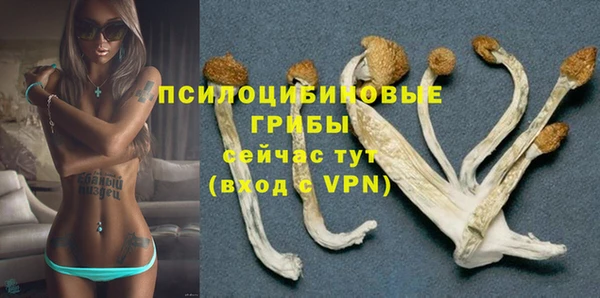 мдпв Горняк