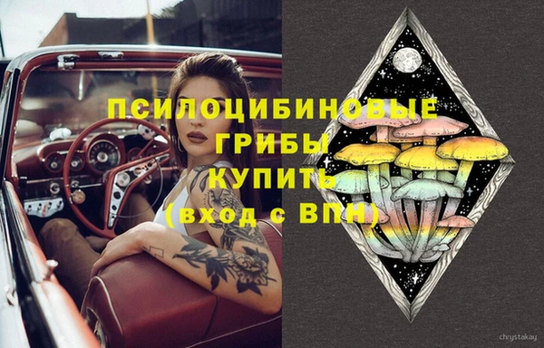 амфетамин Горнозаводск