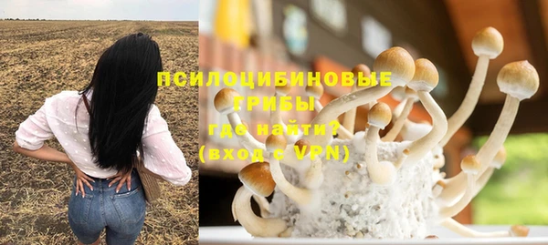 амфетамин Горнозаводск