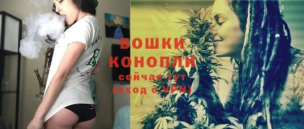 твердый Тавда