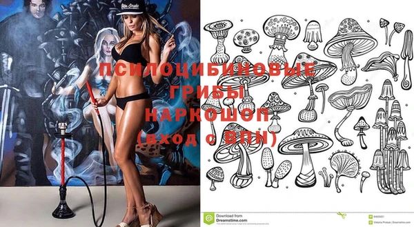 мяу мяу мука Горно-Алтайск