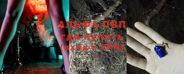 мяу мяу мука Горно-Алтайск
